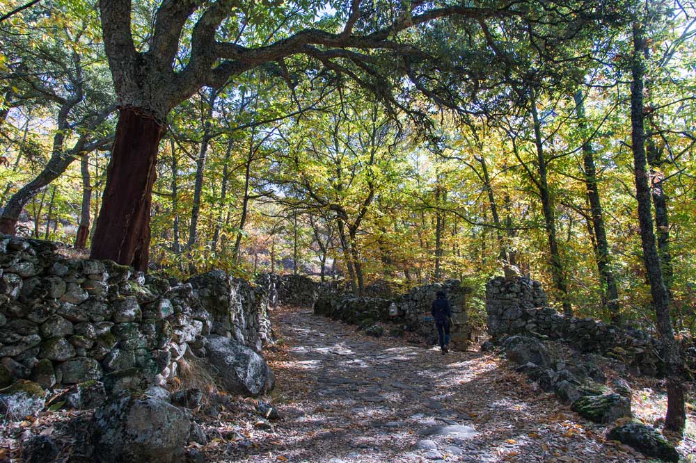 Sierra de Montánchez Turismo Cáceres