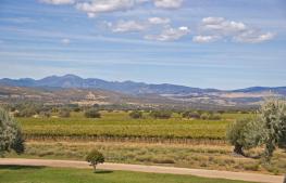 Bodegas Carabal en Alía. Denominación de Origen Ribera del Guadiana.